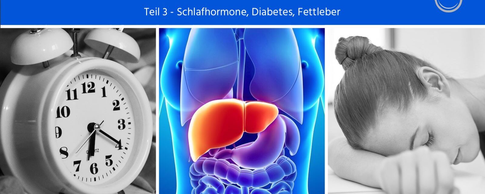 Hormone außer Balance – was hat die Leber damit zu tun? Teil 3 – Schlafhormone, Diabetes, Fettleber