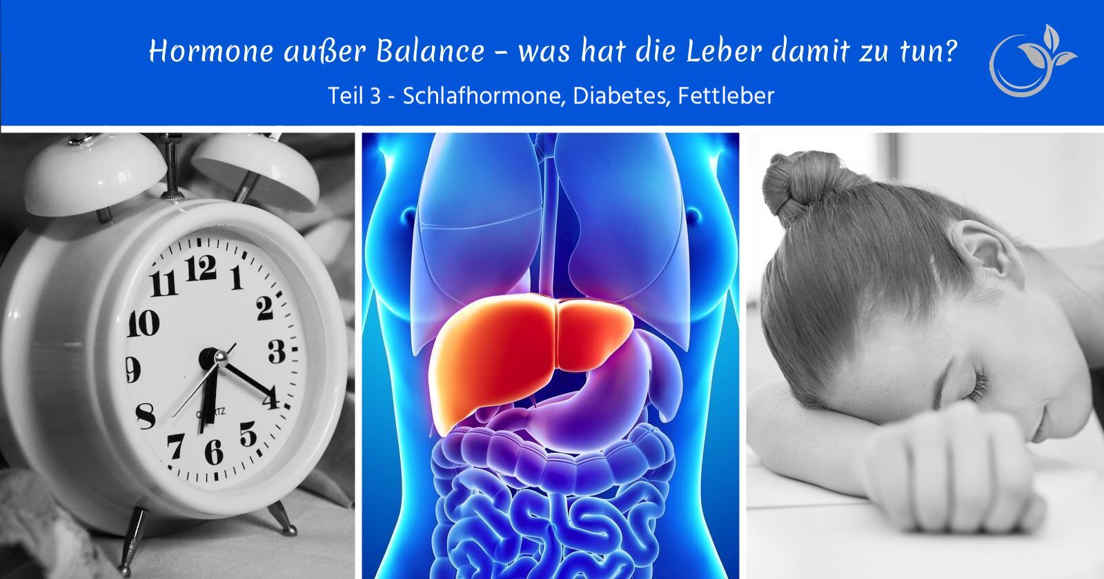 Hormone außer Balance – was hat die Leber damit zu tun? Teil 3 – Schlafhormone, Diabetes, Fettleber