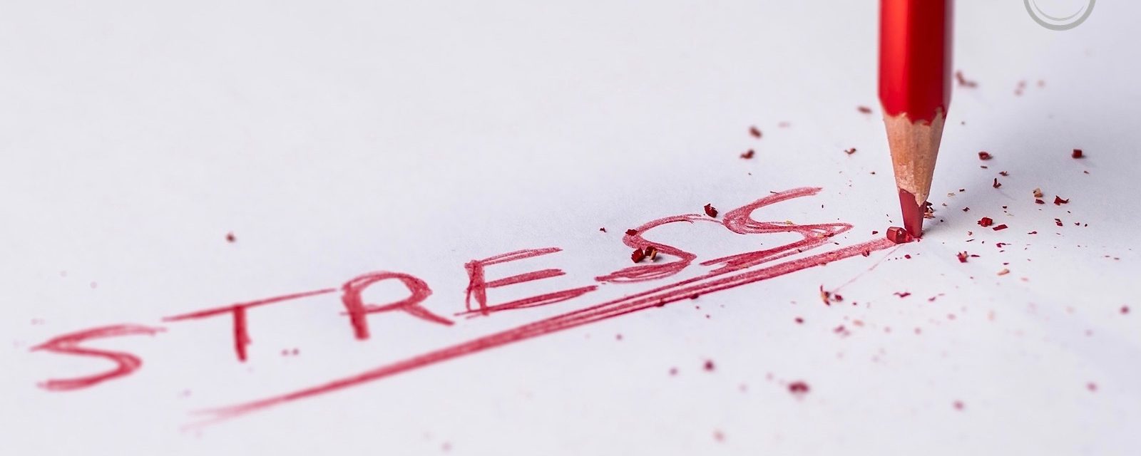 Von Hashimoto, Stress und (un)ermüdlichen Nebennieren