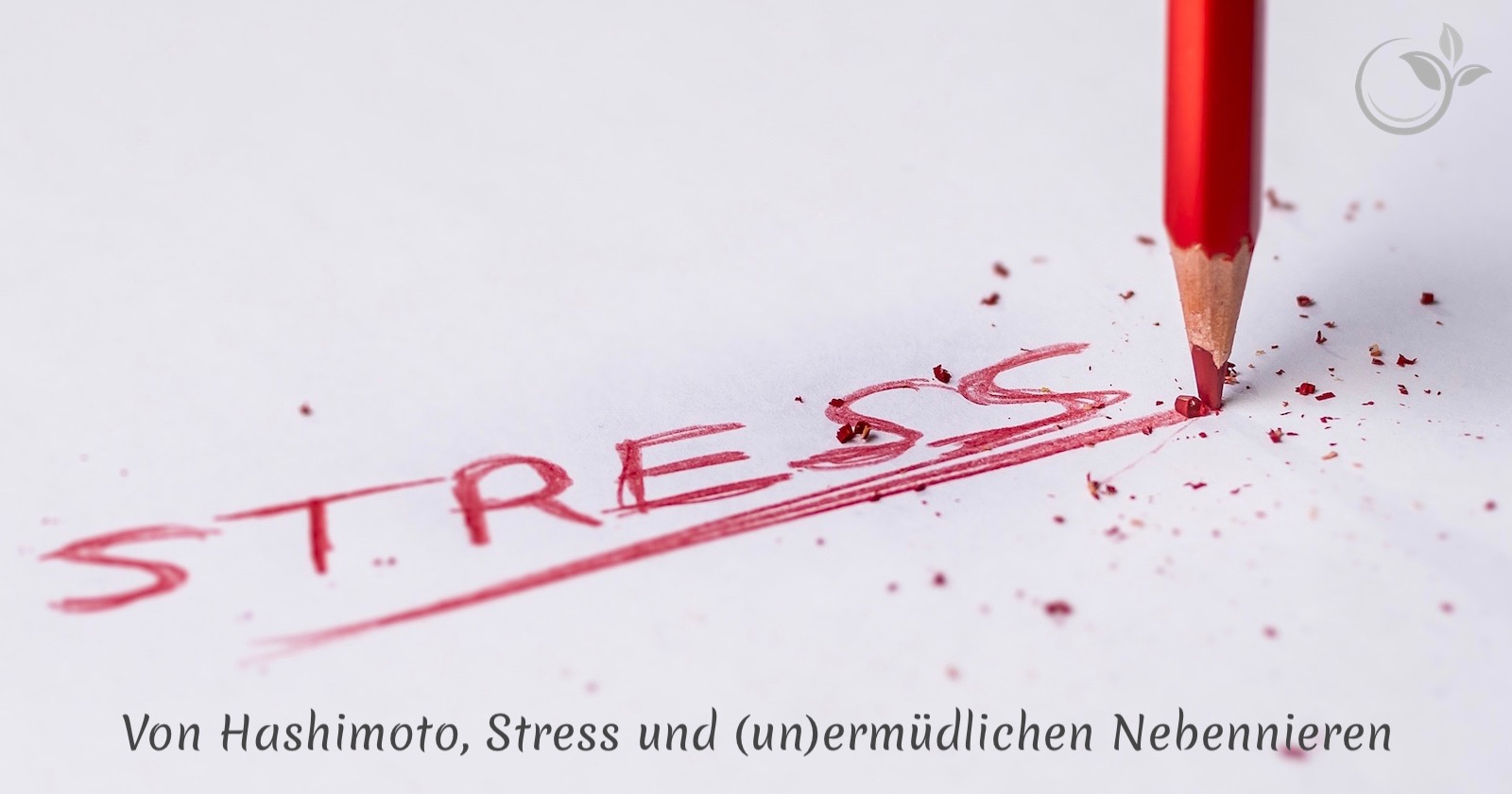 Von Hashimoto, Stress und (un)ermüdlichen Nebennieren